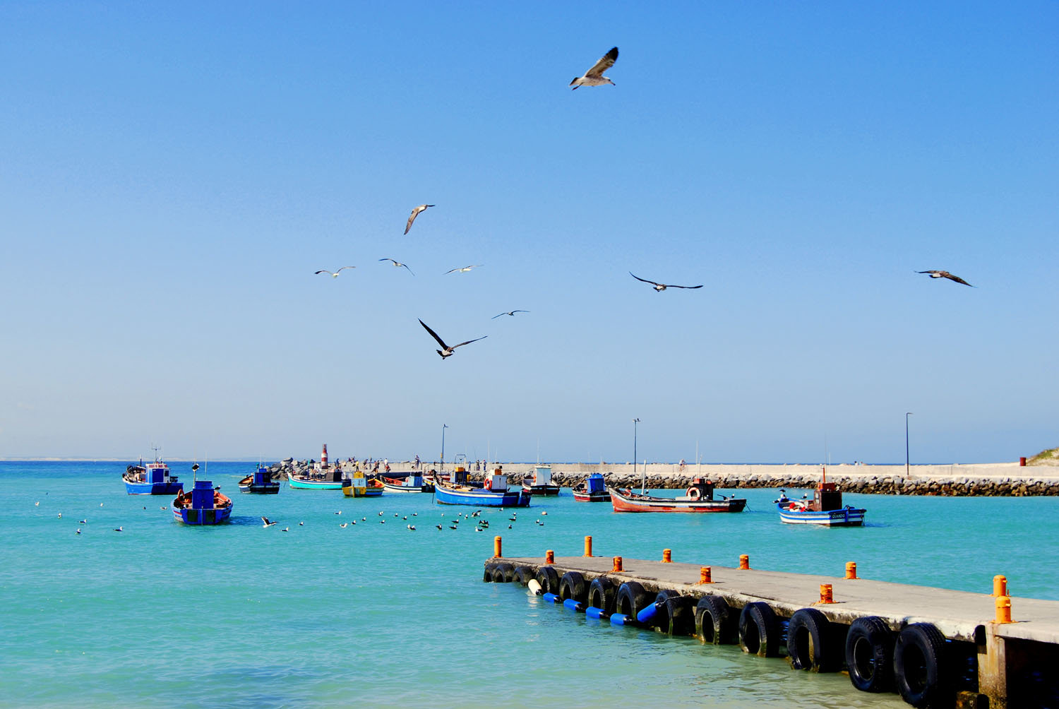 struisbaai-harbour-pier (3)